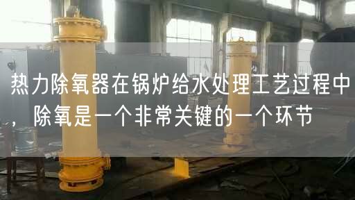 熱力除氧器在鍋爐給水處理工藝過程中，除氧是一個非常關(guān)鍵的一個環(huán)節(jié)